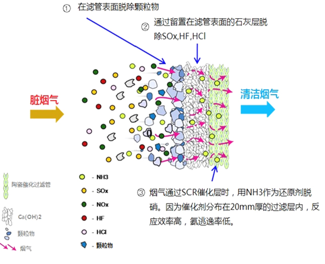 &#24320;&#20113;&#32593;&#39029;&#29256;&#95;&#24320;&#20113;&#40;&#20013;&#22269;&#41;&#23448;&#26041;